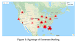 Modelling animal invasive species distribution